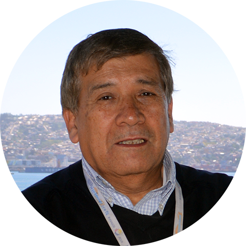 Héctor Allende Olivares